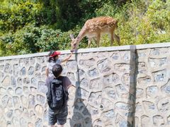 -大连森林动物园