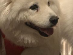 -瑞虹新天地月亮湾