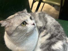 -作咖啡(养育巷店)
