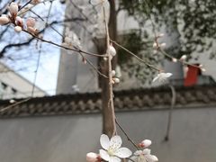 -西安市广仁寺