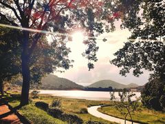 -风云岭森林公园