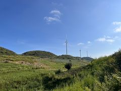 -齐岳山