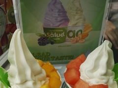 -Salud撒露欧洲冻酸奶(蓝色港湾店)
