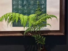 -星多哈·狗咖·拼豆·咖啡