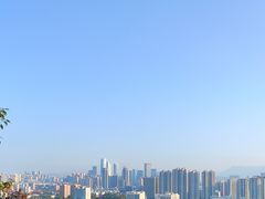 -福道