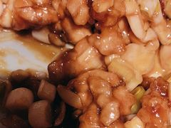 -鸽子窝(黄村店)