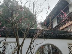 -上海醉白池公园