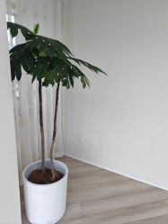-HEYAN荷妍专业脱毛连锁机构