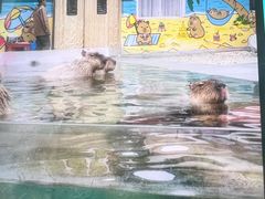 -郑州银基黄帝宫御温泉