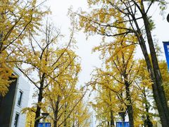 -百林公园-两江幸福广场