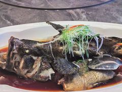 -新海渔港·胶东海鲜家常菜·家宴(奥体中心店)
