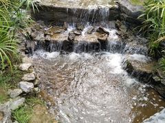 -东莞植物园