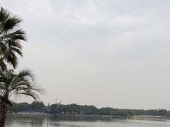 -渤公岛生态公园