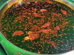 -枇杷园食为鲜火锅(南山店)