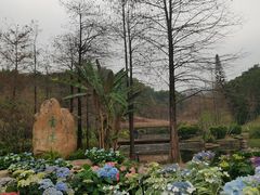 -云溪植物园