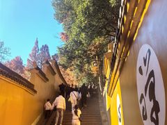 -九华山风景区