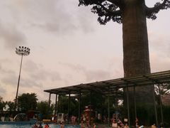 -苏州乐园森林水世界