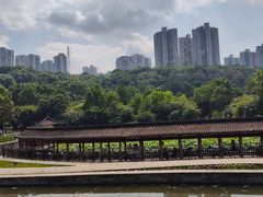 -龙头寺公园