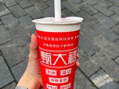 -甄大福·老盐芭乐·陵水酸粉(水巷口店)
