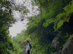 -南岳衡山风景名胜区