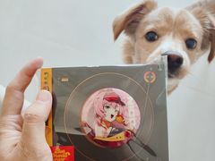 -麦当劳(北苑秋实路店)