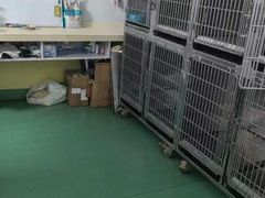 -东方动物医院·宠保定点·骨科·转诊中心(春城路·昆明站分院)