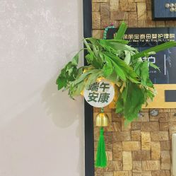 -保丽宝泰母婴护理院·月子中心·产康·中医(常州店)