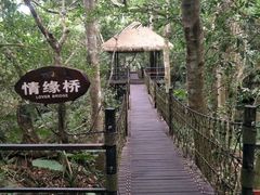 -呀诺达热带雨林