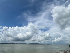 -深圳湾公园-停车场