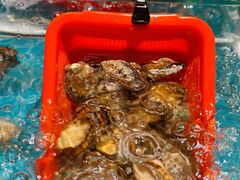 -邹开喜·炭炉鸡煲·海鲜火锅(虹口足球场店)