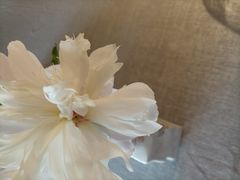 -南堂馆·新川菜(春熙路店)