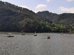 -黔灵山公园