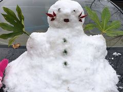 -海窝子古镇