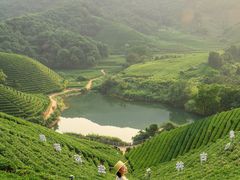 -杭州植物园