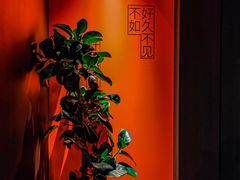 -LAMP BAR 水烟音乐酒吧