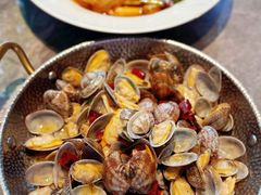 -1937青岛老味道·海肠捞饭·青岛菜(大鲍岛栈桥店)