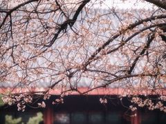 -堤角公园