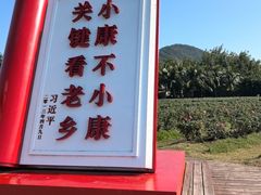 -亚龙湾国际玫瑰谷