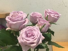 -茹·pure vegan(博华广场店)