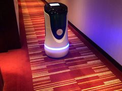 -上海龙之梦万丽酒店