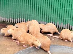 -杭州野生动物世界