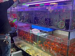 -大学城夜市大排档(凤栖路店)