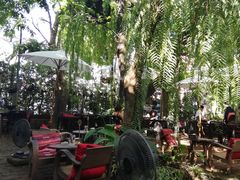 -Fern Forest Cafe