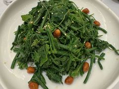 凉拌丝瓜尖-金三杯酒家(泉城路店)