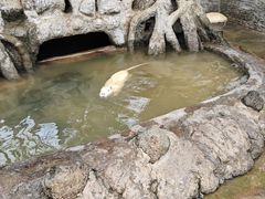 -海南热带野生动植物园