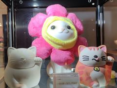 -猫抓烤肉(武进吾悦广场店)
