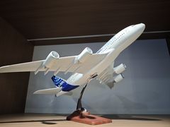 -成飞公园