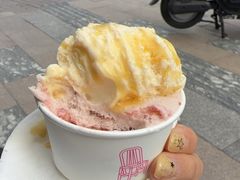 -红楼HONGLOU Gelato(淮海中路店)