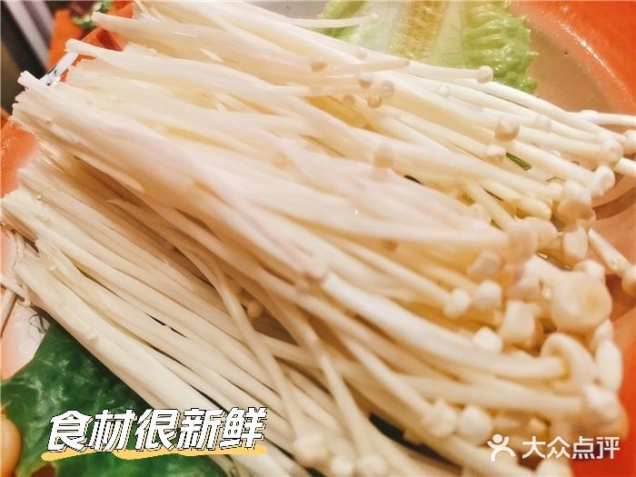 排队到凌晨的湘式牛腩煲