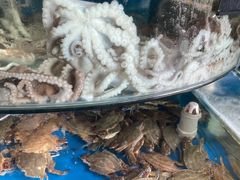 -蓝珊甄选海鲜自助·火锅大排档(近阿那亚店)